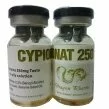 Cypionat 250 Image