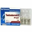 Testosterona E Bulk