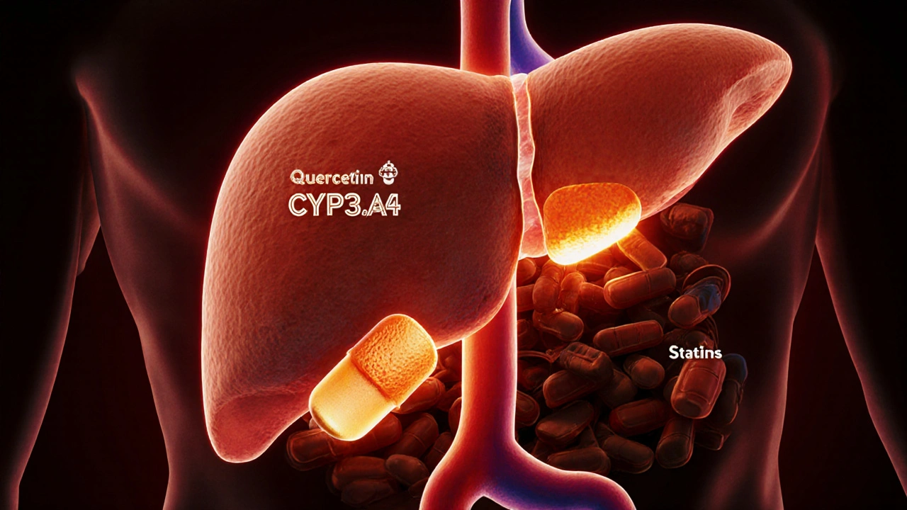 Quercetin and Medications: How Supplement Use Can Alter Drug Levels